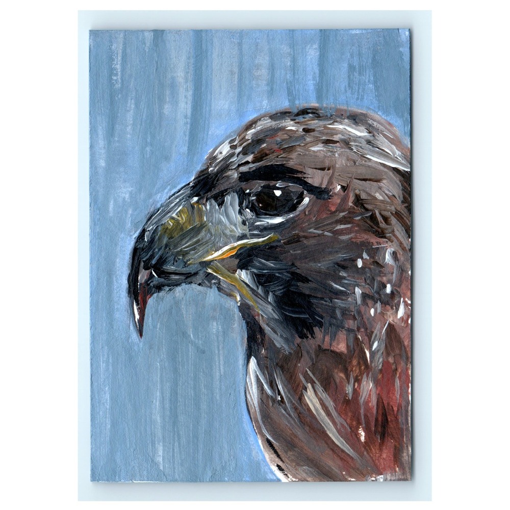 ACEO Original Art Acrylic Hawk Bird Portrait Painting